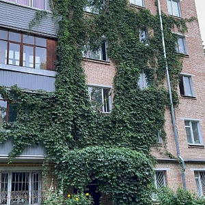 Продается 1-комн. квартира, 31,2 м², 11-я Парковая ул.